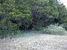 EARLY SITE