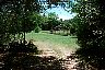pond2.jpg